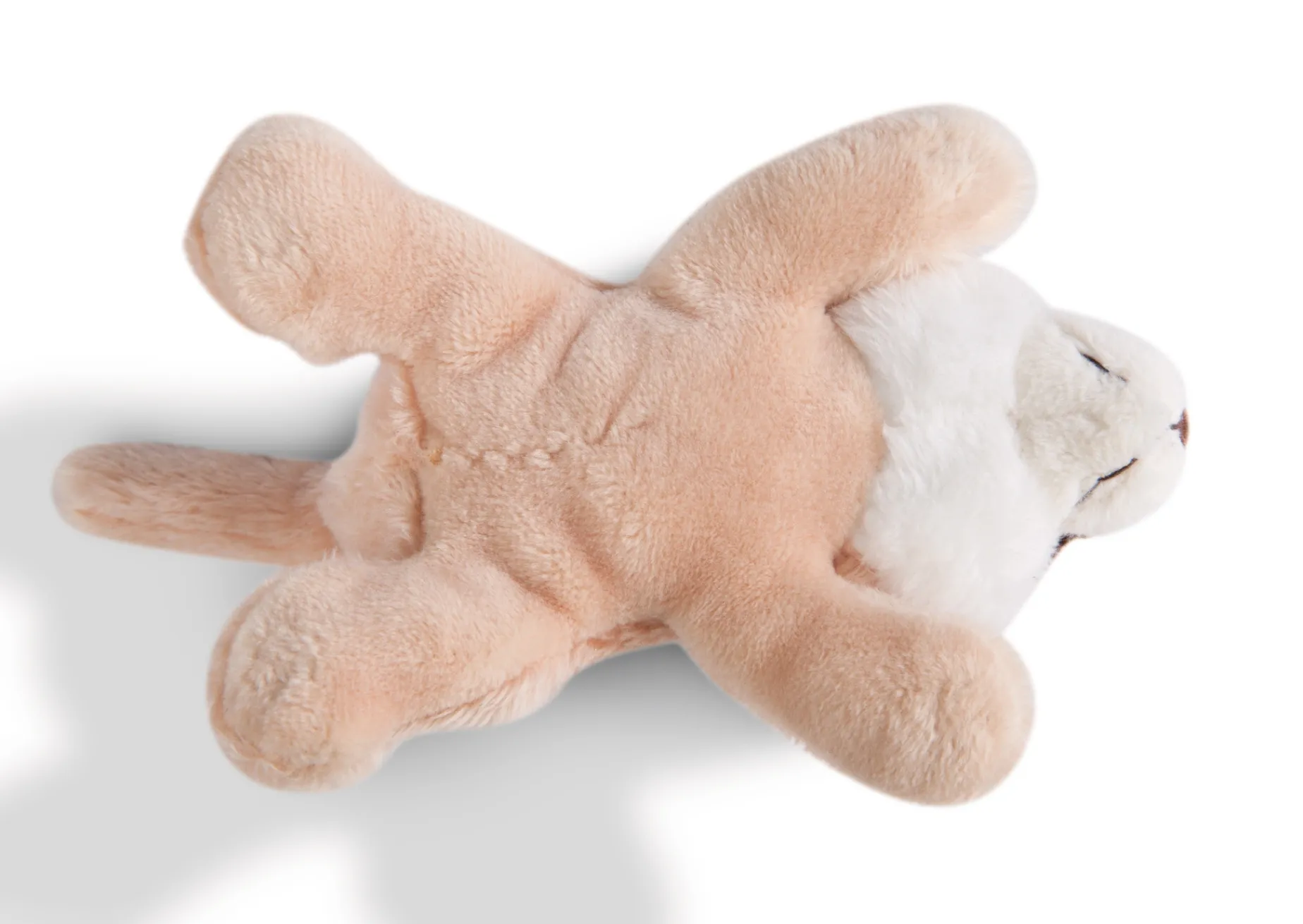 MagNICI Meerkat NICI GREEN