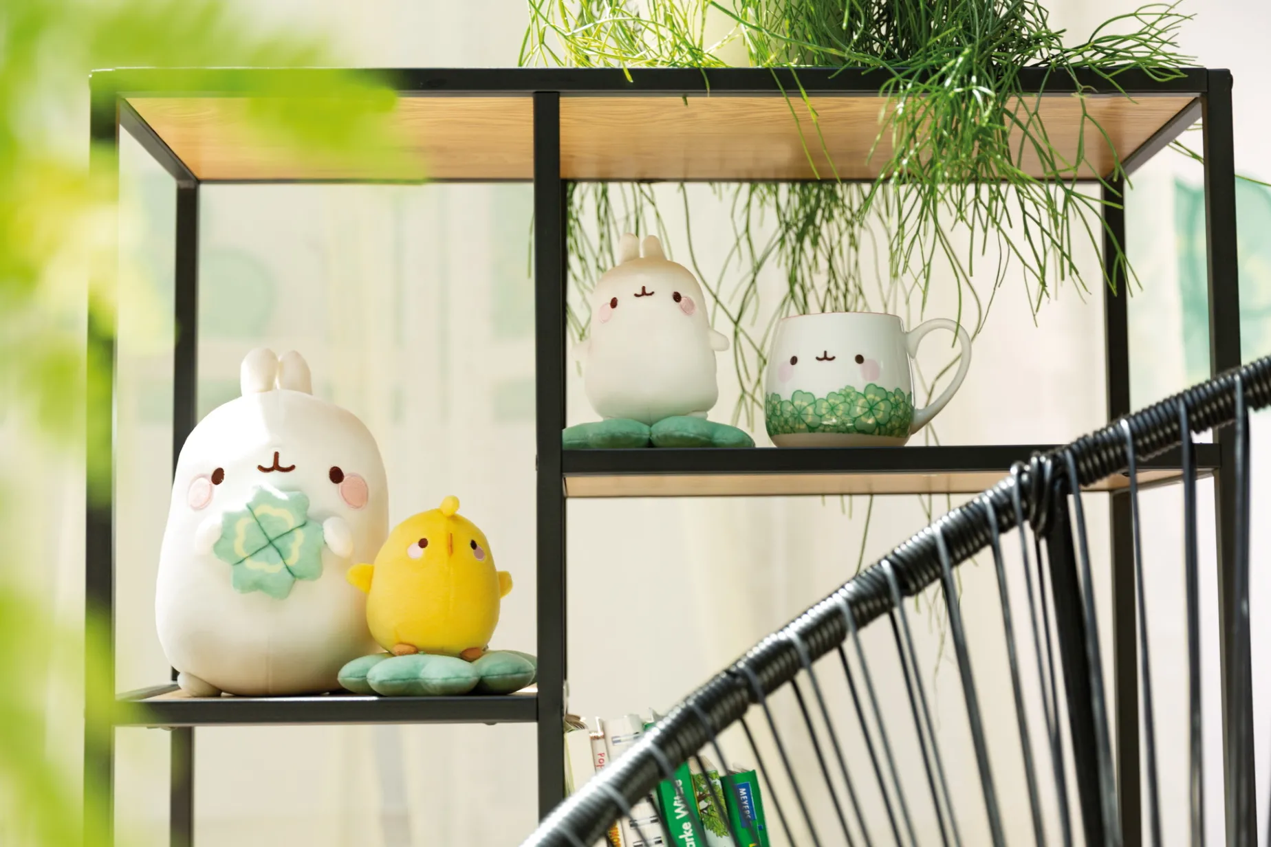 MOLANG 12cm on cloverleaf