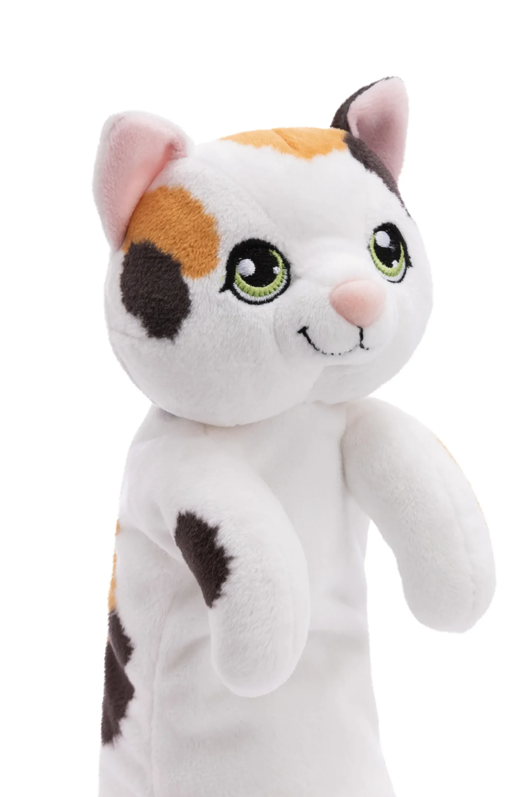 Pencil Pouch Cat Lucky Cat