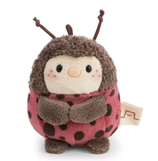 Soft Toy Set Ladybird Dozz with coconut and pineapple costume in gift box